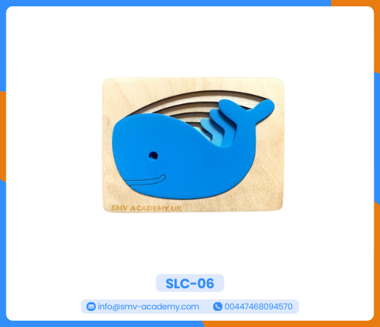 بازل دولفين متعدد الطبقات